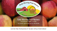 Desktop Screenshot of earlymorningnursery.com